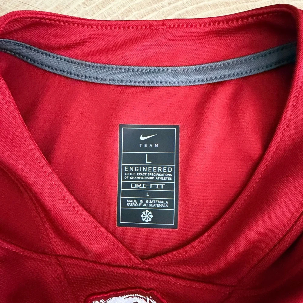 Nike Arkansas Razorbacks #5 Football Jersey Darren McFadden Youth L Red read